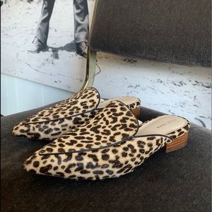 Cole Haan Piper Hair on Hide Cheetah Mule Loafers